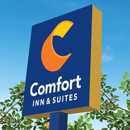 Comfort Inn&Suites Texas City Eksteriør bilde